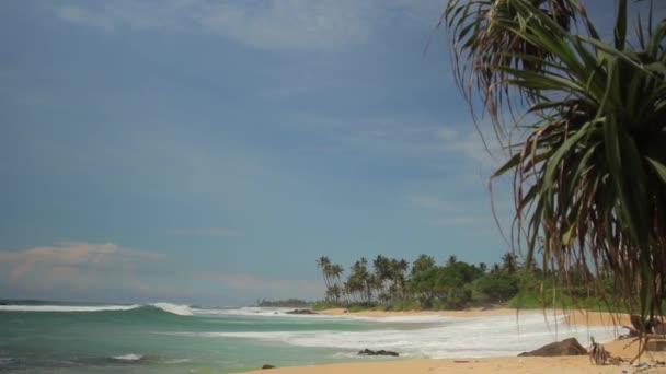 Sri Lanka oceaan zeegezicht zee kust. Landschap. — Stockvideo