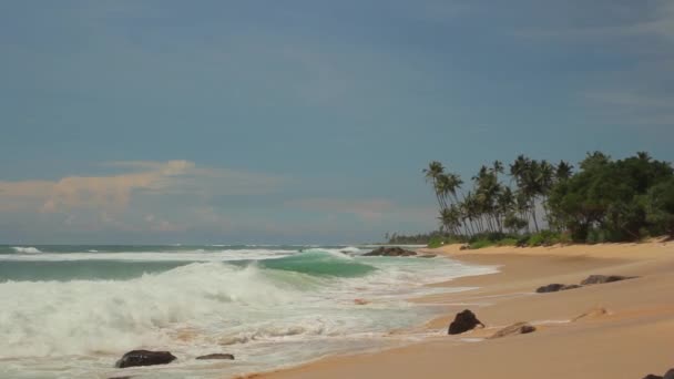 Sri Lanka oceano mare litorale. Paesaggio . — Video Stock