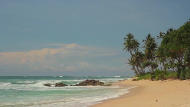 Sri Lanka océan paysage marin rivage. Paysage .