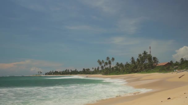 Θαλάσσια ακτή ωκεανού της Σρι Λάνκα. Τοπίο. — Αρχείο Βίντεο