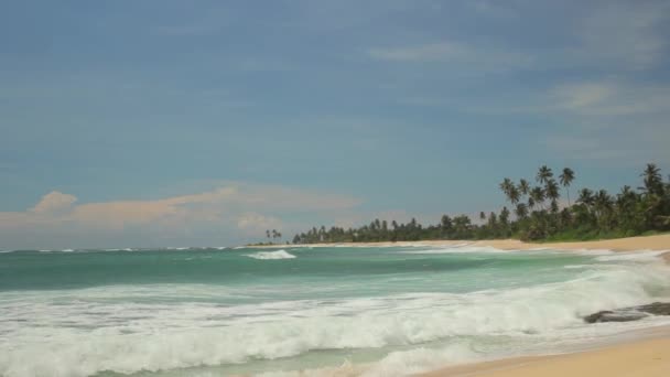 Sri Lanka oceaan zeegezicht zee kust. Landschap. — Stockvideo