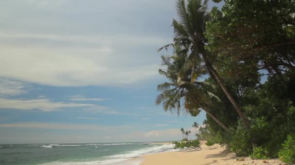 Sri Lanka océan paysage marin rivage. Paysage . — Video