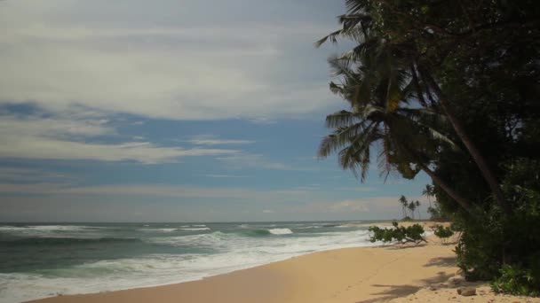 Sri Lanka oceano mare litorale. Paesaggio . — Video Stock
