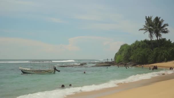 Sri Lanka oceaan zeegezicht zee kust. Landschap. — Stockvideo