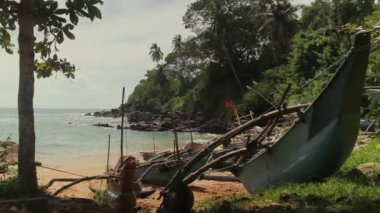 Sri Lanka okyanus kıyısı. Peyzaj.