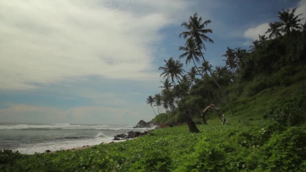 Sri Lanka oceaan zeegezicht zee kust. Landschap. — Stockvideo