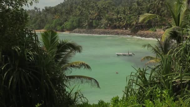 Sri Lanka oceaan zeegezicht zee kust. Landschap. — Stockvideo