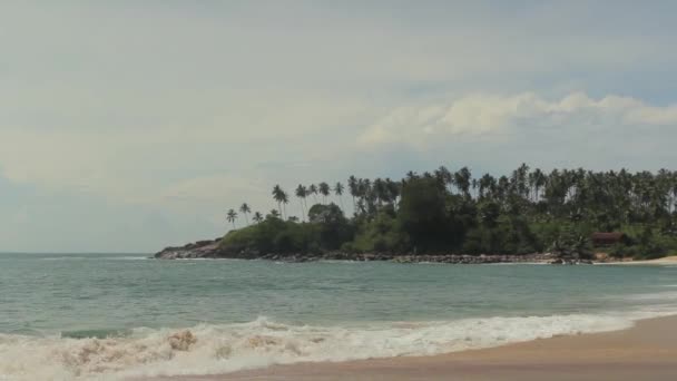 Sri Lanka oceaan zeegezicht zee kust. Landschap. — Stockvideo