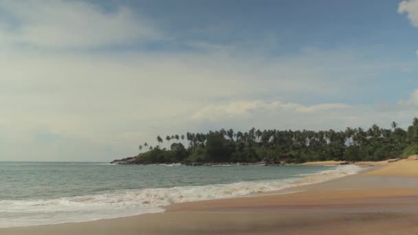 Sri Lanka oceaan zeegezicht zee kust. Landschap. — Stockvideo