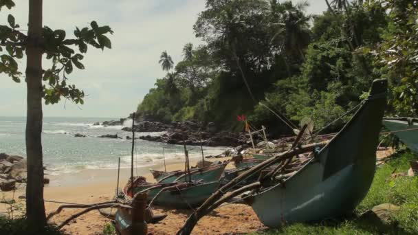 Sri Lanka ocean seascape sea shore. Landscape. — Stock Video