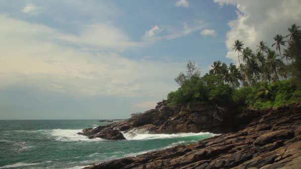 Sri Lanka oceaan zeegezicht zee kust. Landschap. — Stockvideo