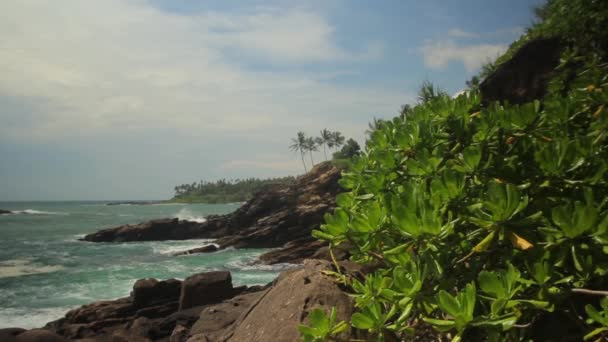 Morski krajobraz Sri Lanki. Krajobraz. — Wideo stockowe