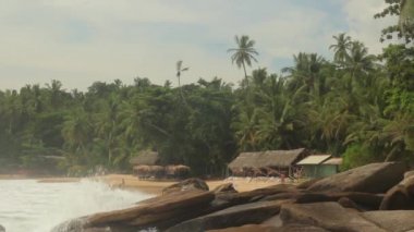 Sri Lanka okyanus kıyısı. Peyzaj.