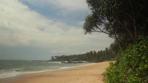 Srí Lanka óceán tengeri partja. Tájkép. — Stock videók