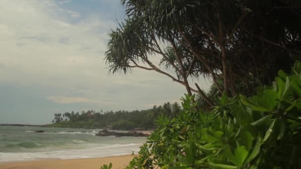 Sri Lanka océano costa del mar paisaje. Paisaje . — Vídeos de Stock