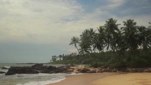 Sri Lanka océan paysage marin rivage. Paysage .