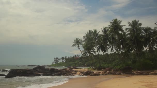 Sri Lanka oceaan zeegezicht zee kust. Landschap. — Stockvideo