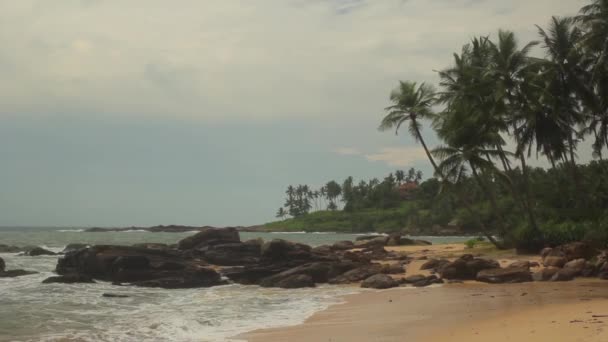 Sri Lanka oceaan zeegezicht zee kust. Landschap. — Stockvideo