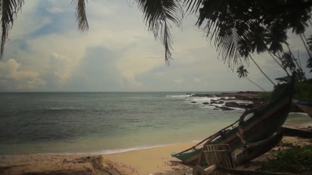 Sri Lanka océan paysage marin rivage. Paysage . — Video