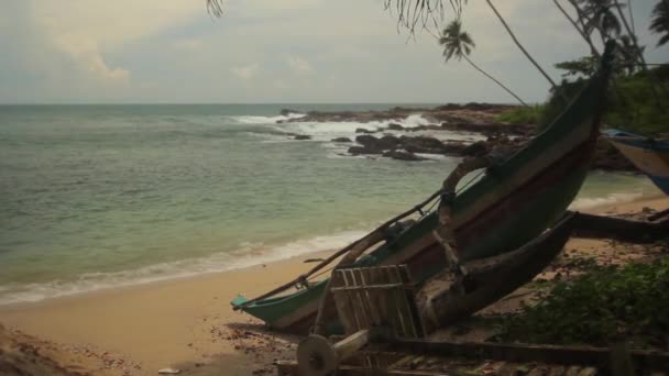 Srí Lanka oceánské pobřeží. Krajina. — Stock video