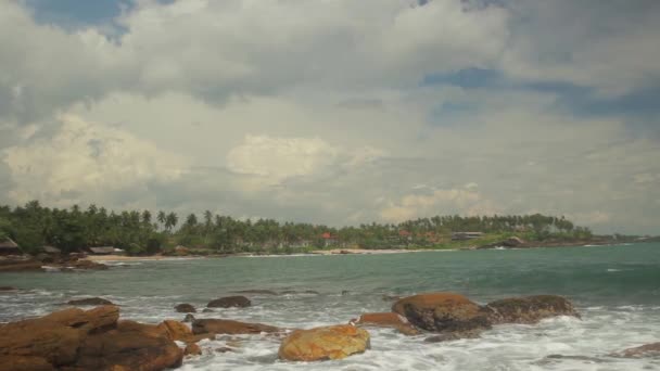 Sri lanka ocean sea cape sea shore. Landschaft. — Stockvideo