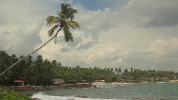 Sri Lanka oceaan zeegezicht zee kust. Landschap. — Stockvideo