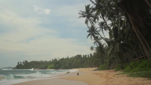 Sri Lanka océano costa del mar paisaje. Paisaje . — Vídeo de stock