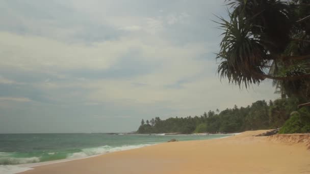 Sri Lanka océan paysage marin rivage. Paysage . — Video