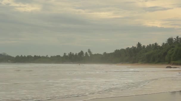 Sri lanka ocean sea cape sea shore. Landschaft. — Stockvideo