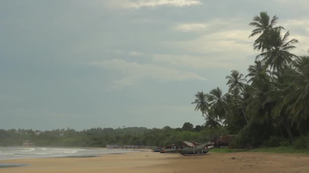 Sri Lanka océano costa del mar paisaje. Paisaje . — Vídeos de Stock