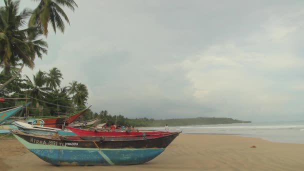 Sri Lanka ocean seascape sea shore. Landscape. — Stock Video