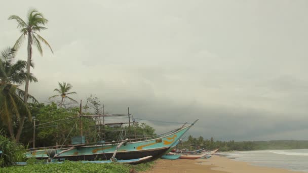 Sri Lanka oceaan zeegezicht zee kust. Landschap. — Stockvideo