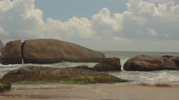 Sri lanka ocean sea cape sea shore. Landschaft. — Stockvideo