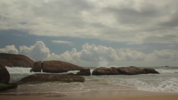 Sri Lankas havskust. Landskap. — Stockvideo