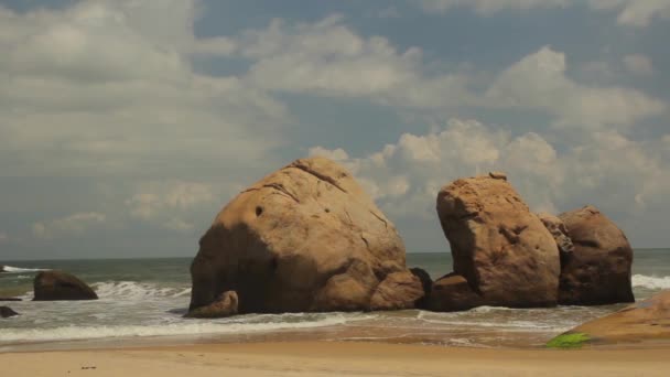 Sri Lanka okyanus kıyısı. Peyzaj. — Stok video