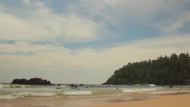 Sri Lanka oceaan zeegezicht zee kust. Landschap. — Stockvideo