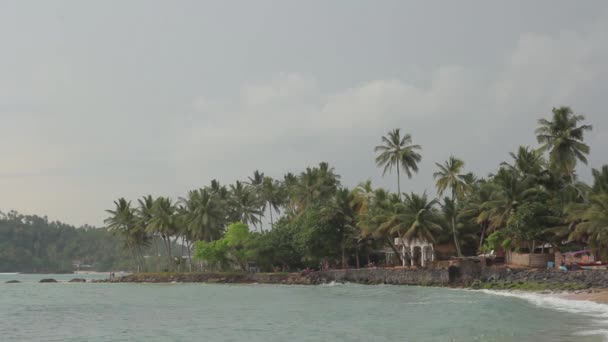 Sri Lanka oceaan zeegezicht zee kust. Landschap. — Stockvideo