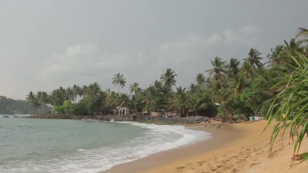 Sri Lanka oceaan zeegezicht zee kust. Landschap. — Stockvideo