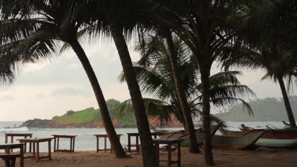 Sri Lanka océan paysage marin rivage. Paysage . — Video