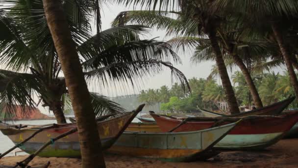 Sri Lanka ocean seascape sea shore. Landscape. — Stock Video