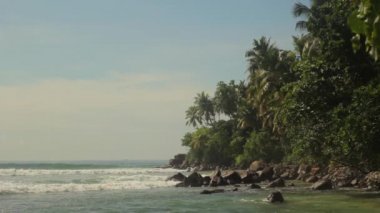 Sri Lanka okyanus kıyısı. Peyzaj.
