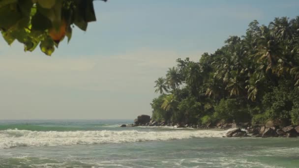 Sri Lanka oceaan zeegezicht zee kust. Landschap. — Stockvideo