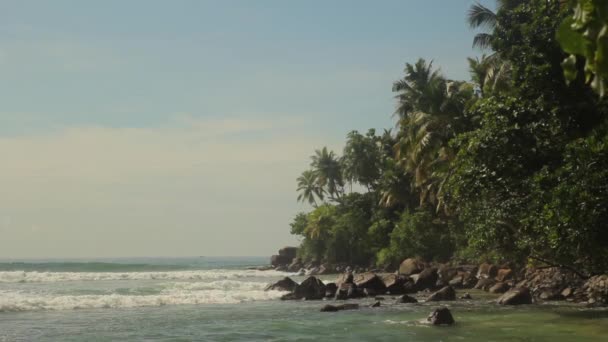 Sri Lanka oceaan zeegezicht zee kust. Landschap. — Stockvideo