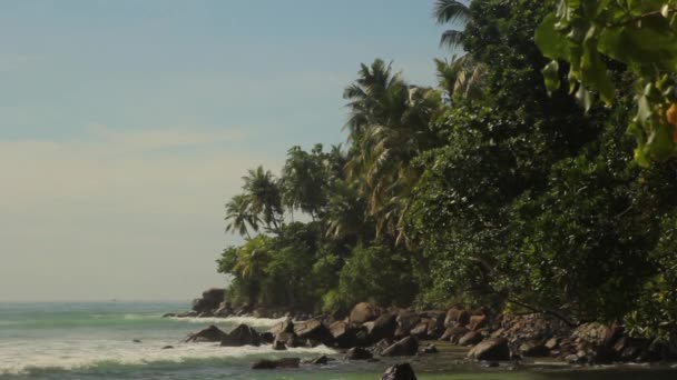 Sri Lanka oceaan zeegezicht zee kust. Landschap. — Stockvideo