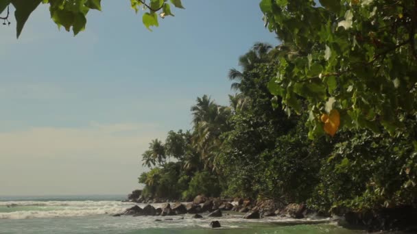 Sri Lanka oceaan zeegezicht zee kust. Landschap. — Stockvideo