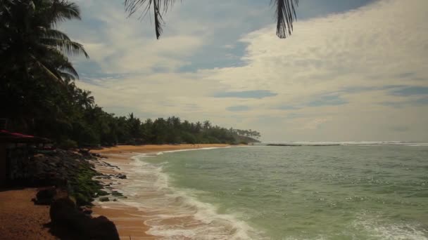 Sri Lanka océan paysage marin rivage. Paysage . — Video