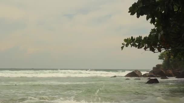 Sri Lanka okyanus kıyısı. Peyzaj. — Stok video