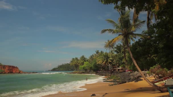 Морской берег Шри-Ланки. Пейзаж . — стоковое видео