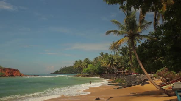 Costa marítima do Sri Lanka Oceano. Paisagem . — Vídeo de Stock