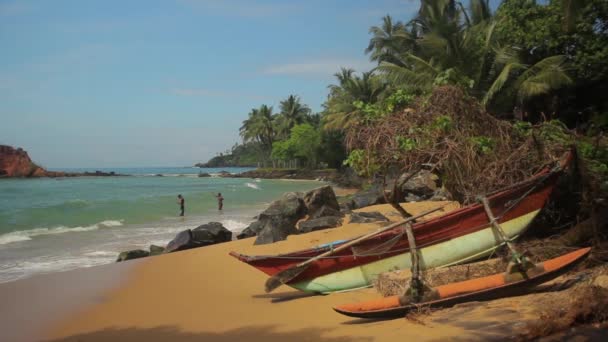 Sri Lanka ocean seascape sea shore. Landscape. — Stock Video